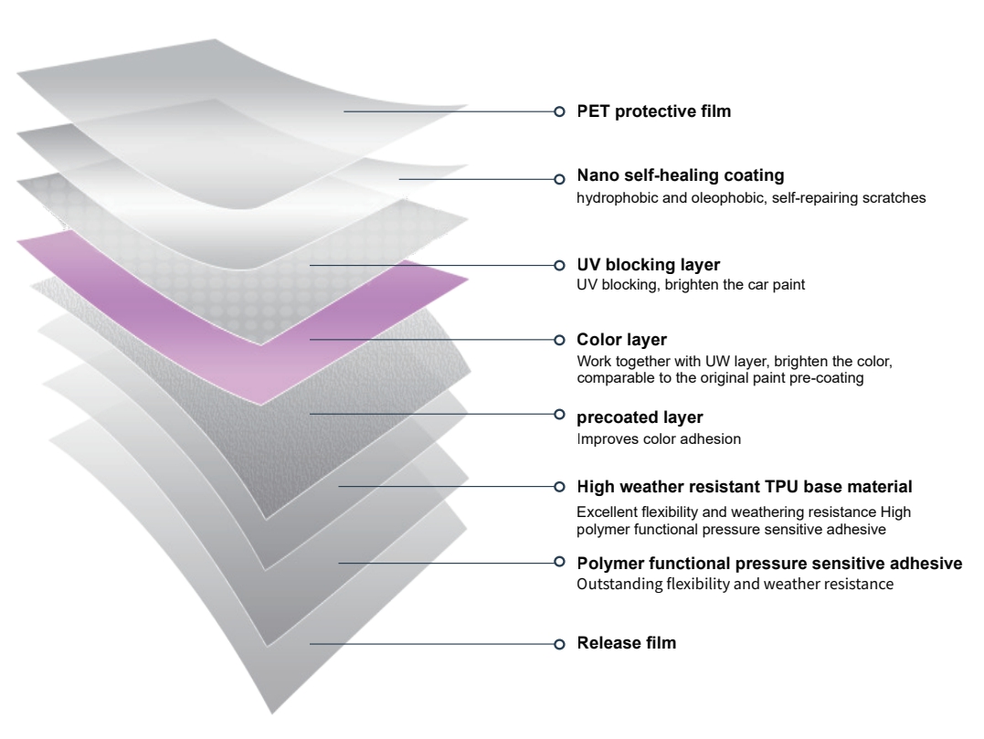 color PPF layout